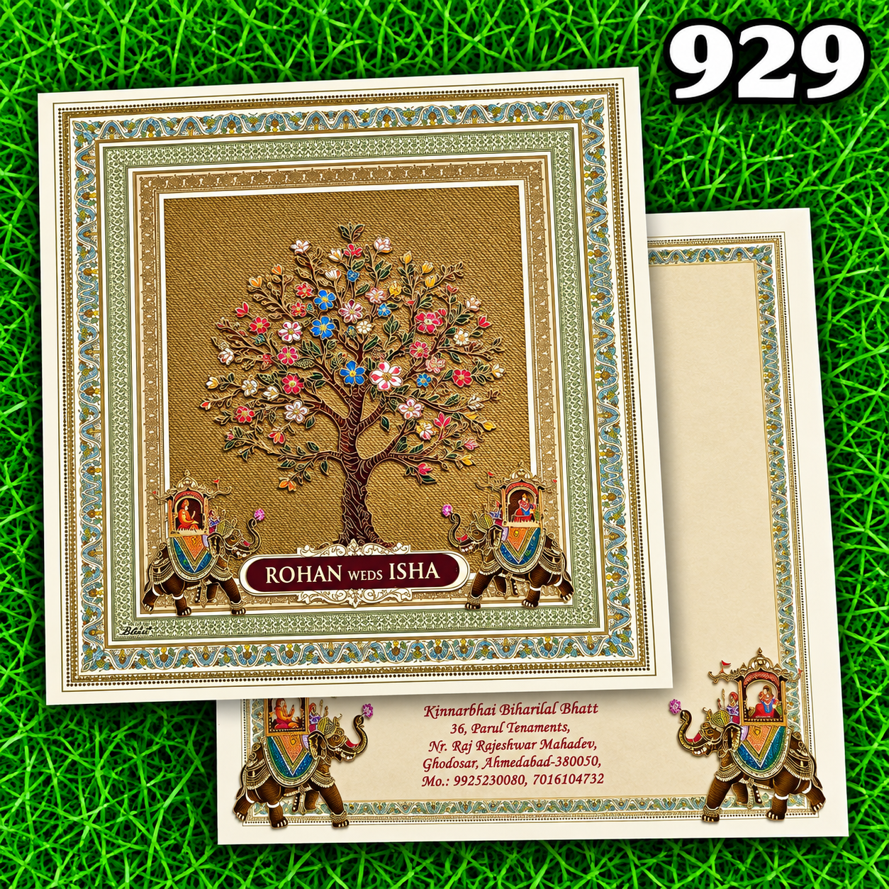 kankotri - 929