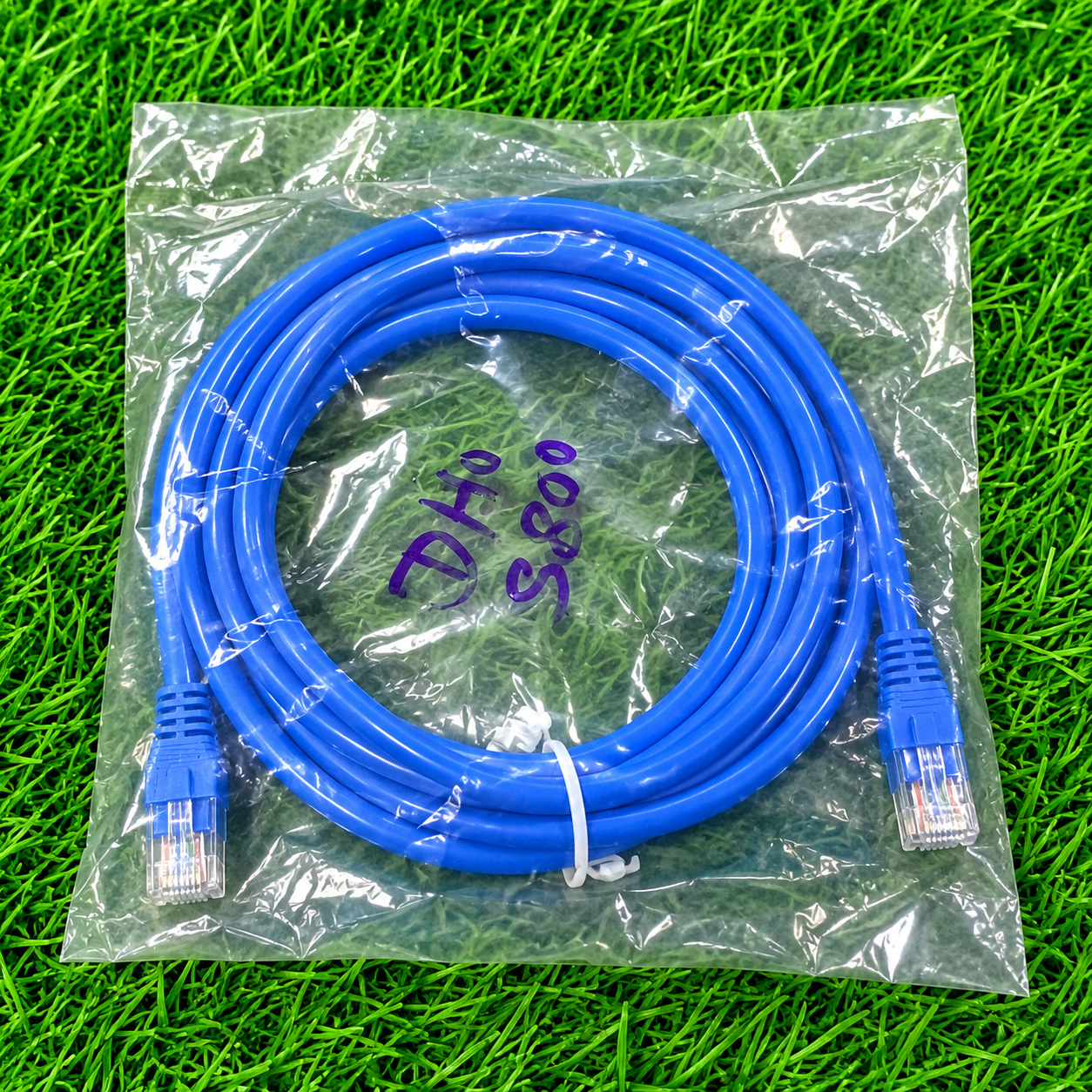 coiled blue Ethernet network cable