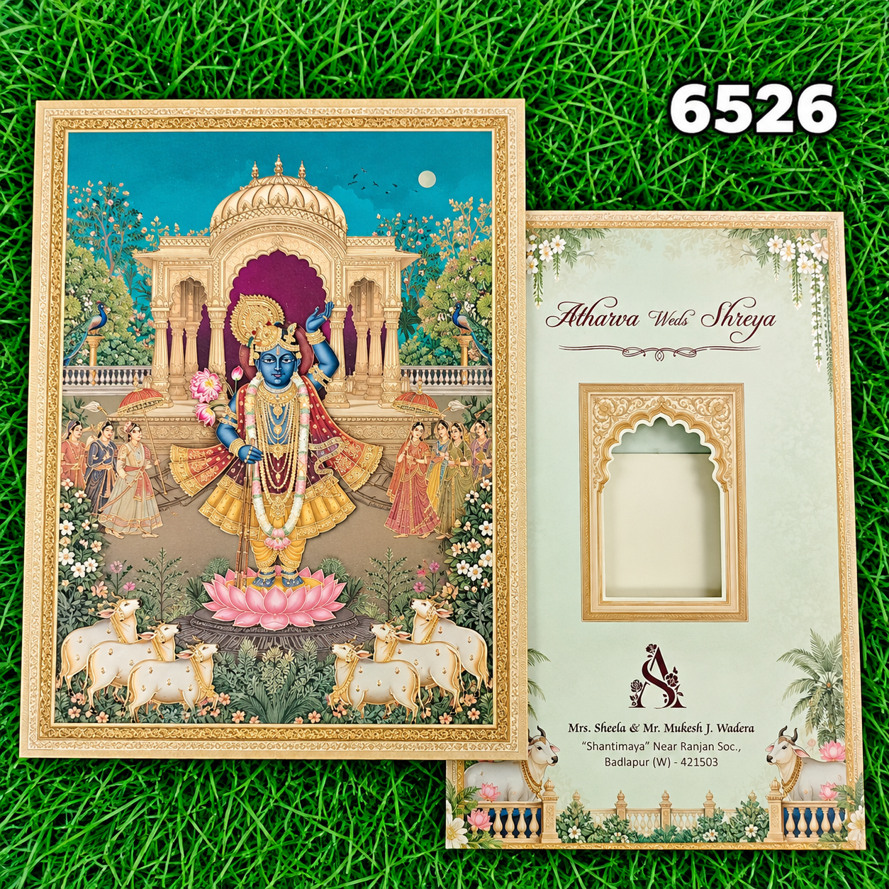 kankotri - 6526